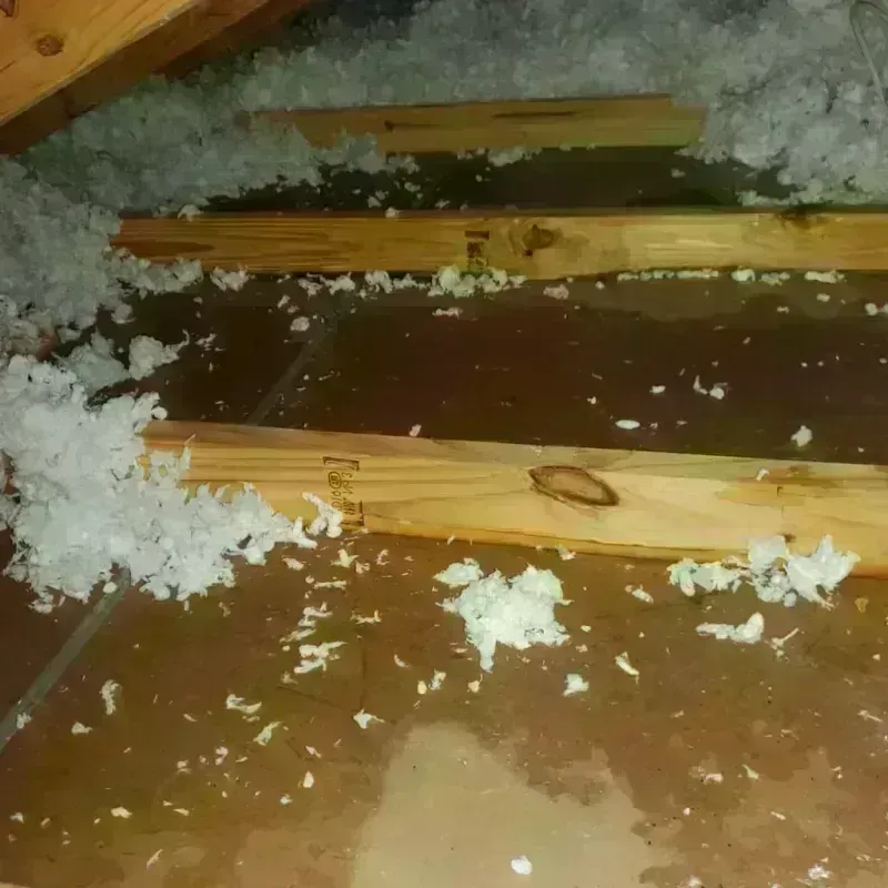 Attic Water Damage in Rocky Point, WA