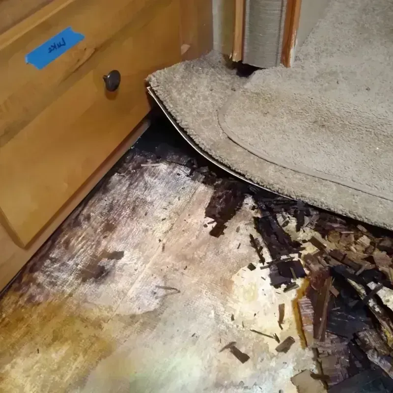 Wood Floor Water Damage in Rocky Point, WA